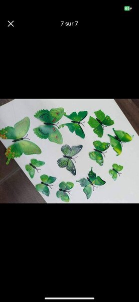 Papillons