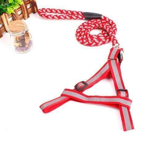 Laisse Pour Chien Moyen -