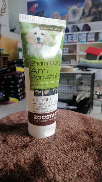 SHAMPOING