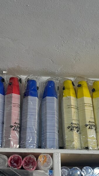 Disposable cup