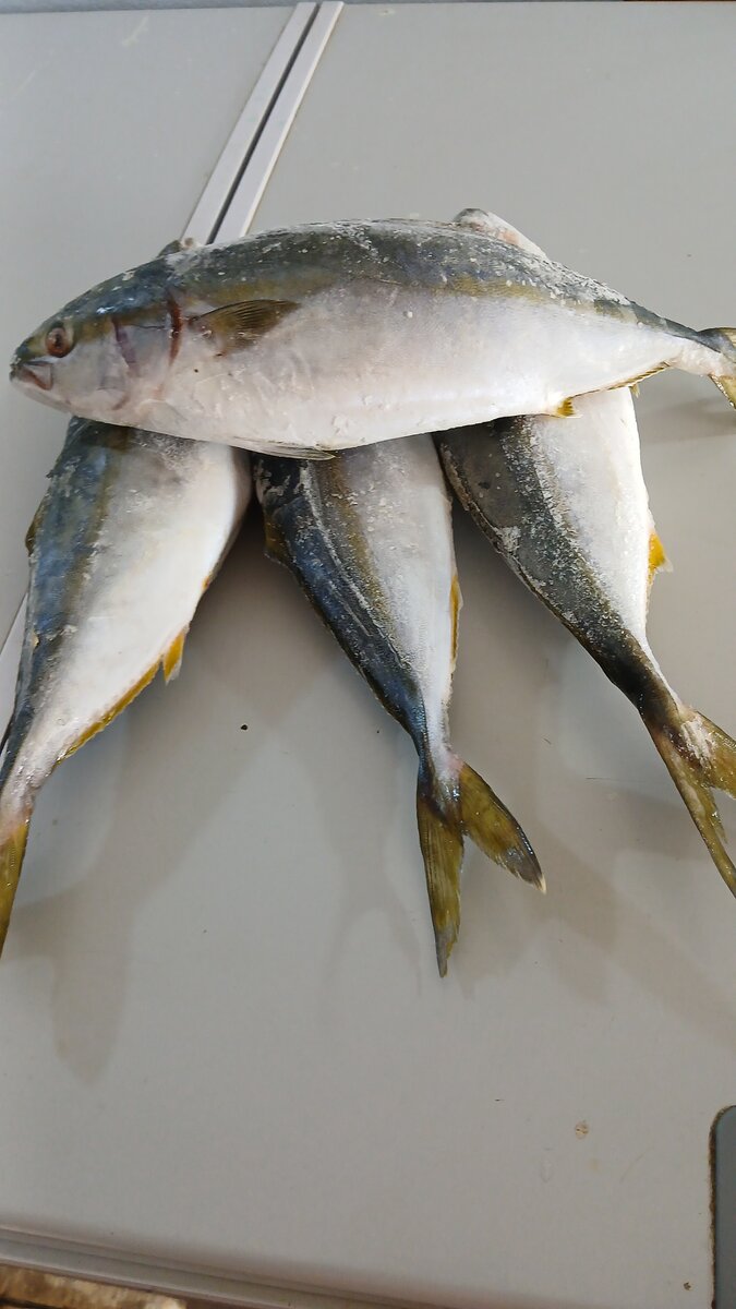 Poisson Banane