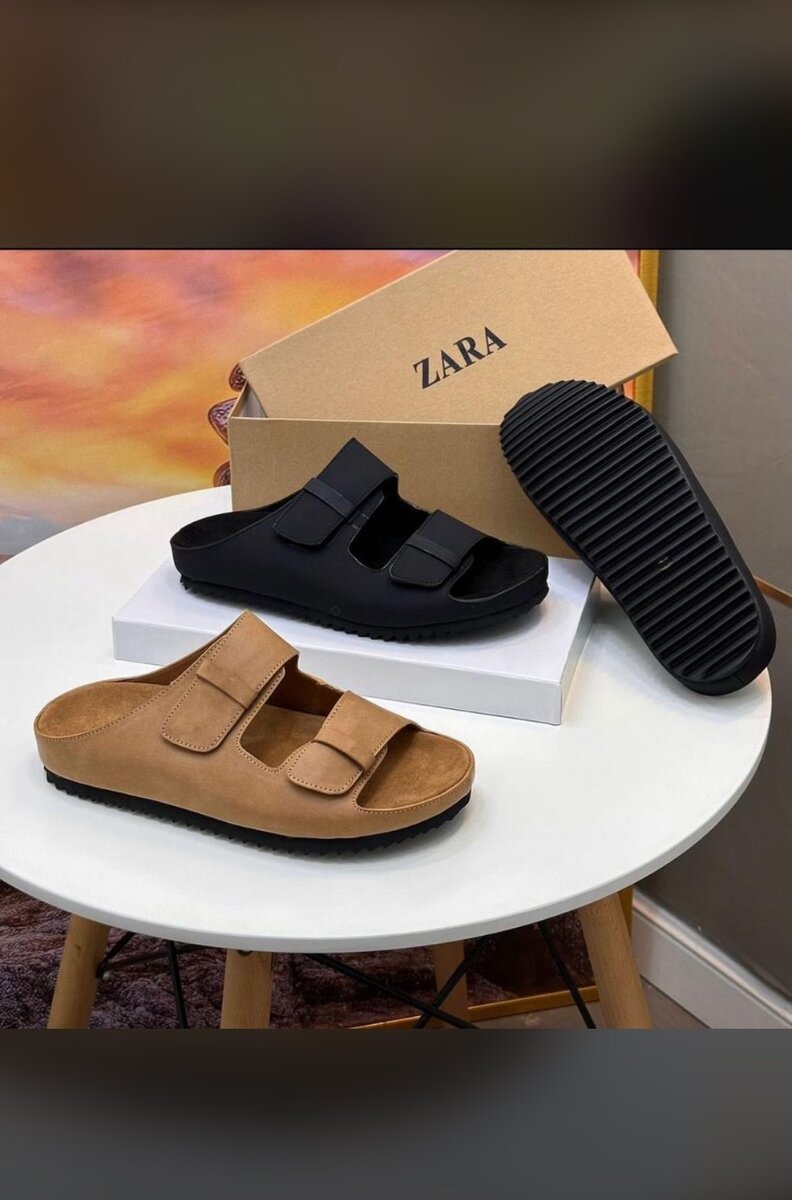 Zara birke