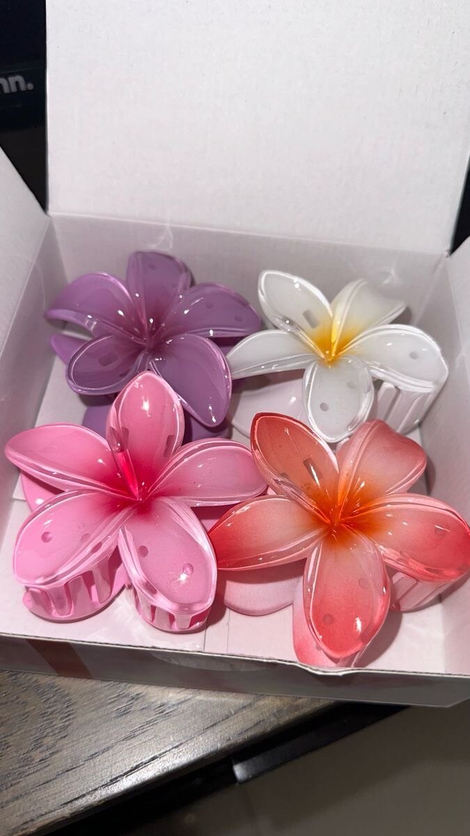 Pinces fleurs colorées cheveux