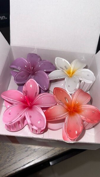 Pinces fleurs colorées cheveux