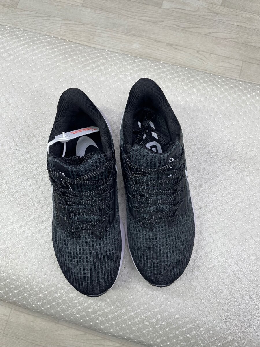 Nike pegasus39