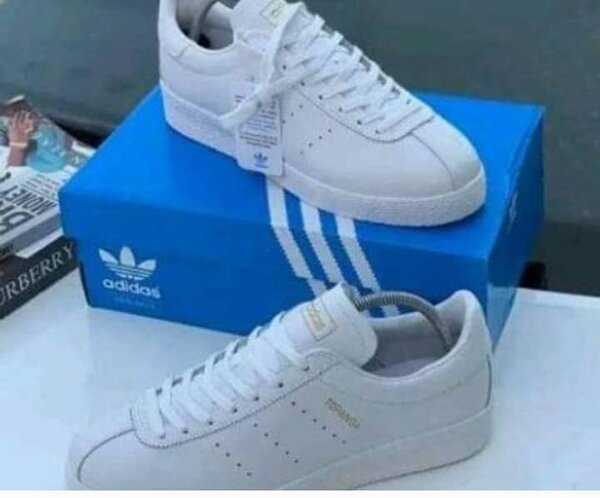 All White summit