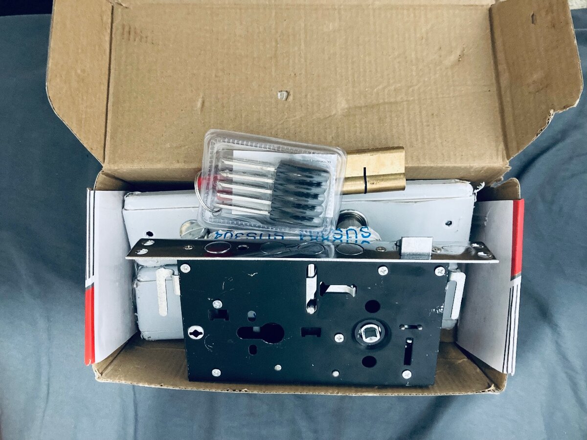 Security door lock