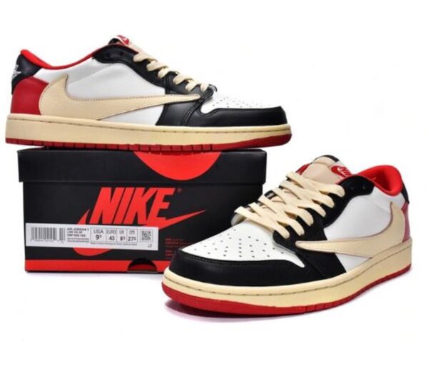Sb nocta puma