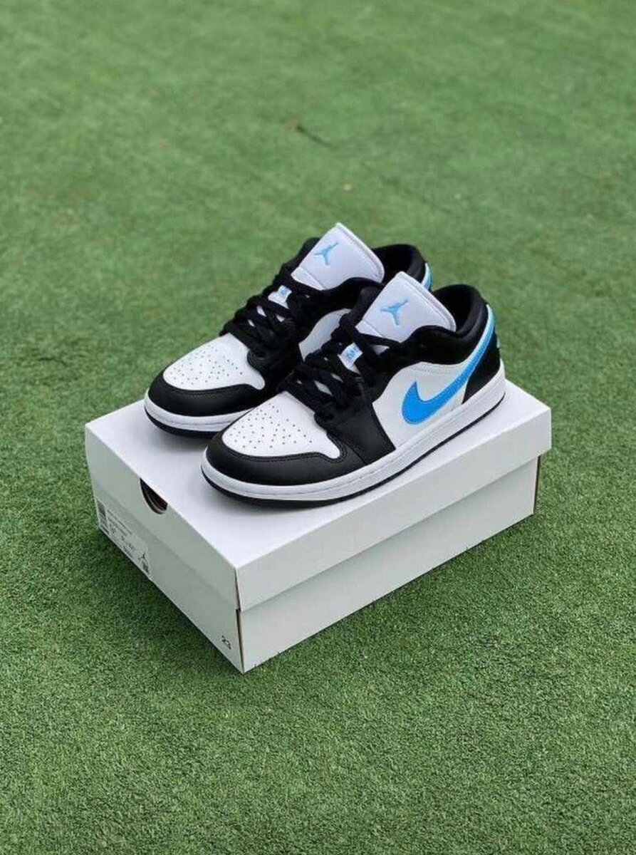 Jordan 1 low