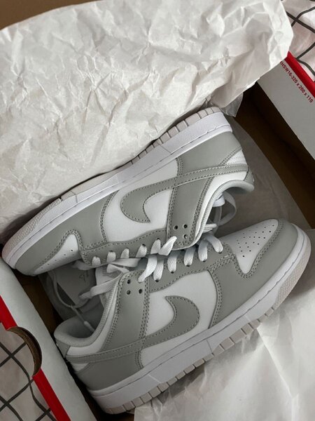 Nike SBs