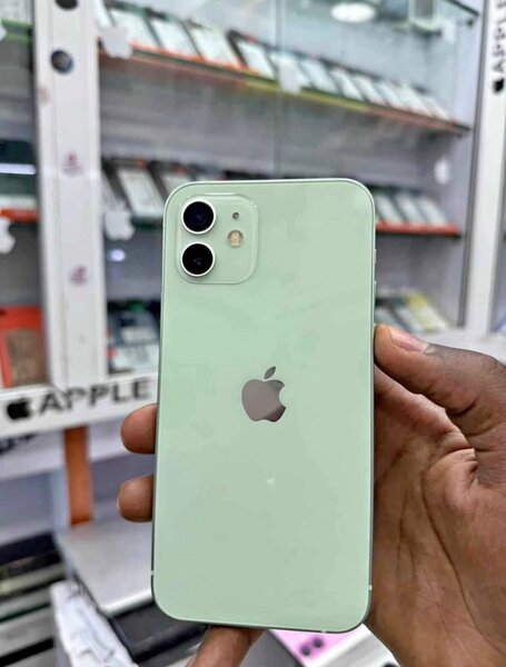 iPhone 11 Vert 128 Go