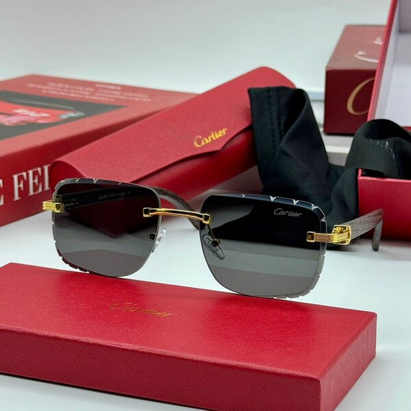 Fashion sunglasses