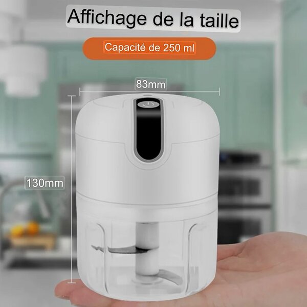 Mini mixeur