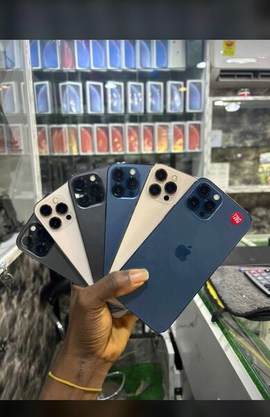 Bob phones 