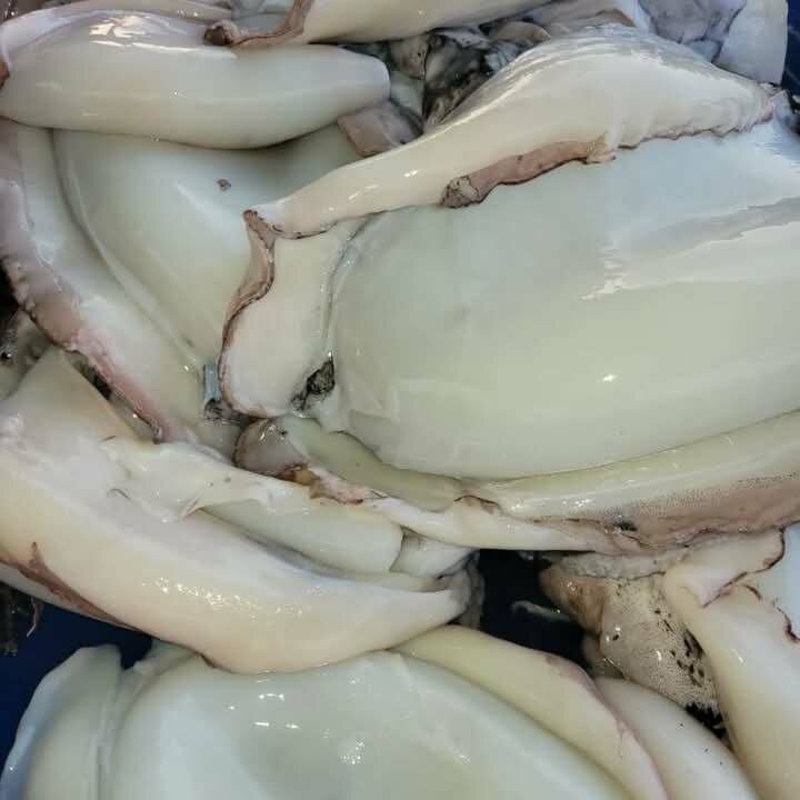Calamar