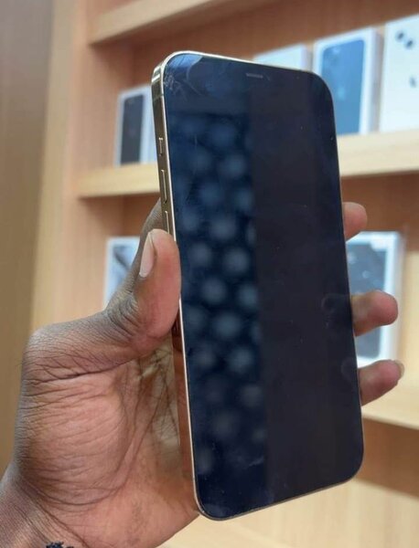 iPhone 13 Pro Max Doré