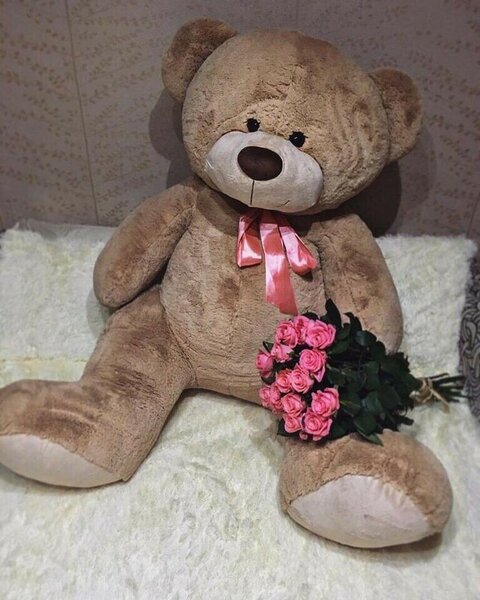 Teddy bear