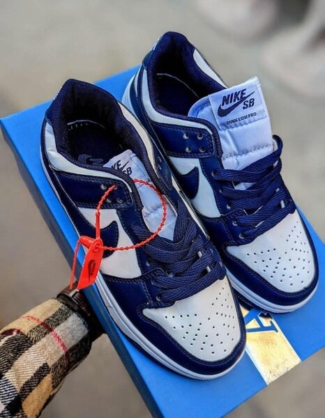Nikes sb