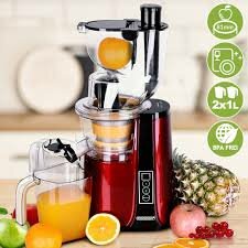 Extracteur de Jus Puissant