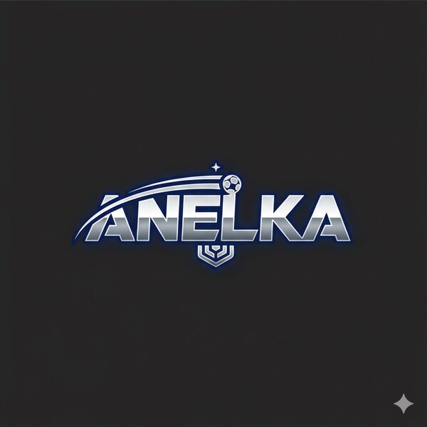 Anelka service élect