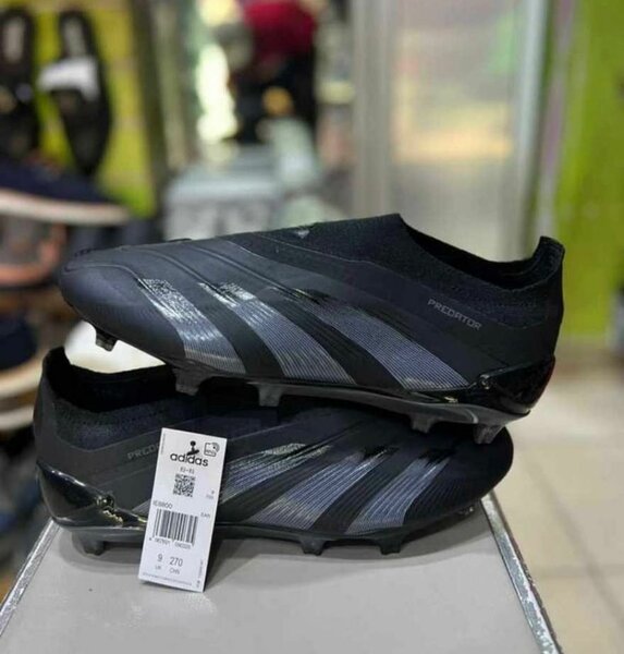 Paire de magre