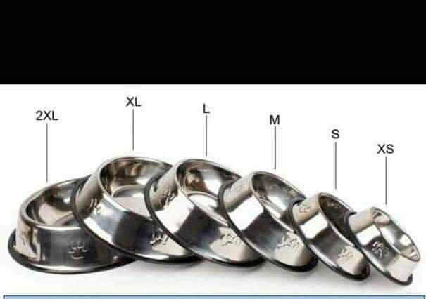 Gamelles en inox