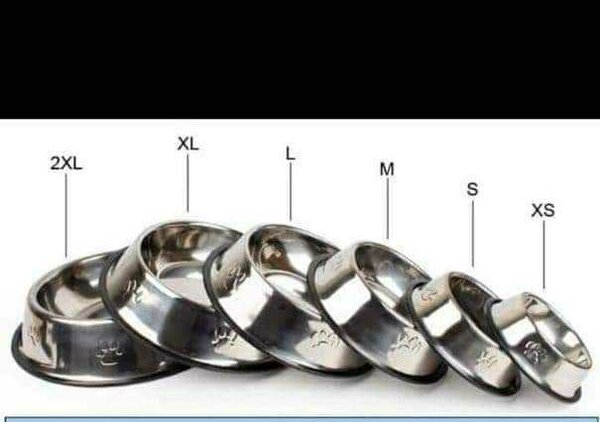Gamelles en inox