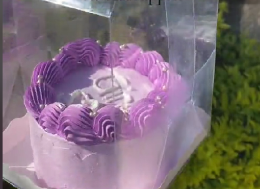 Bento cake