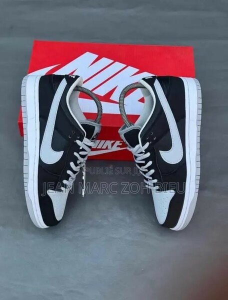 Baskets Nike Dunk Classiques
