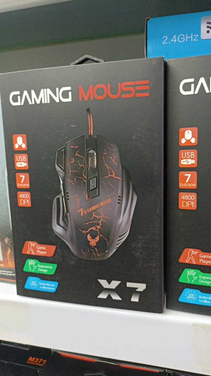 Souris à Fil 
