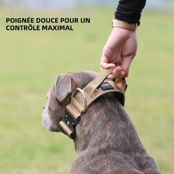 Laisse & Collier Tactique Pro
