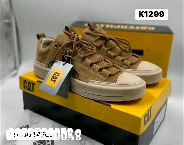 Cat sneaker