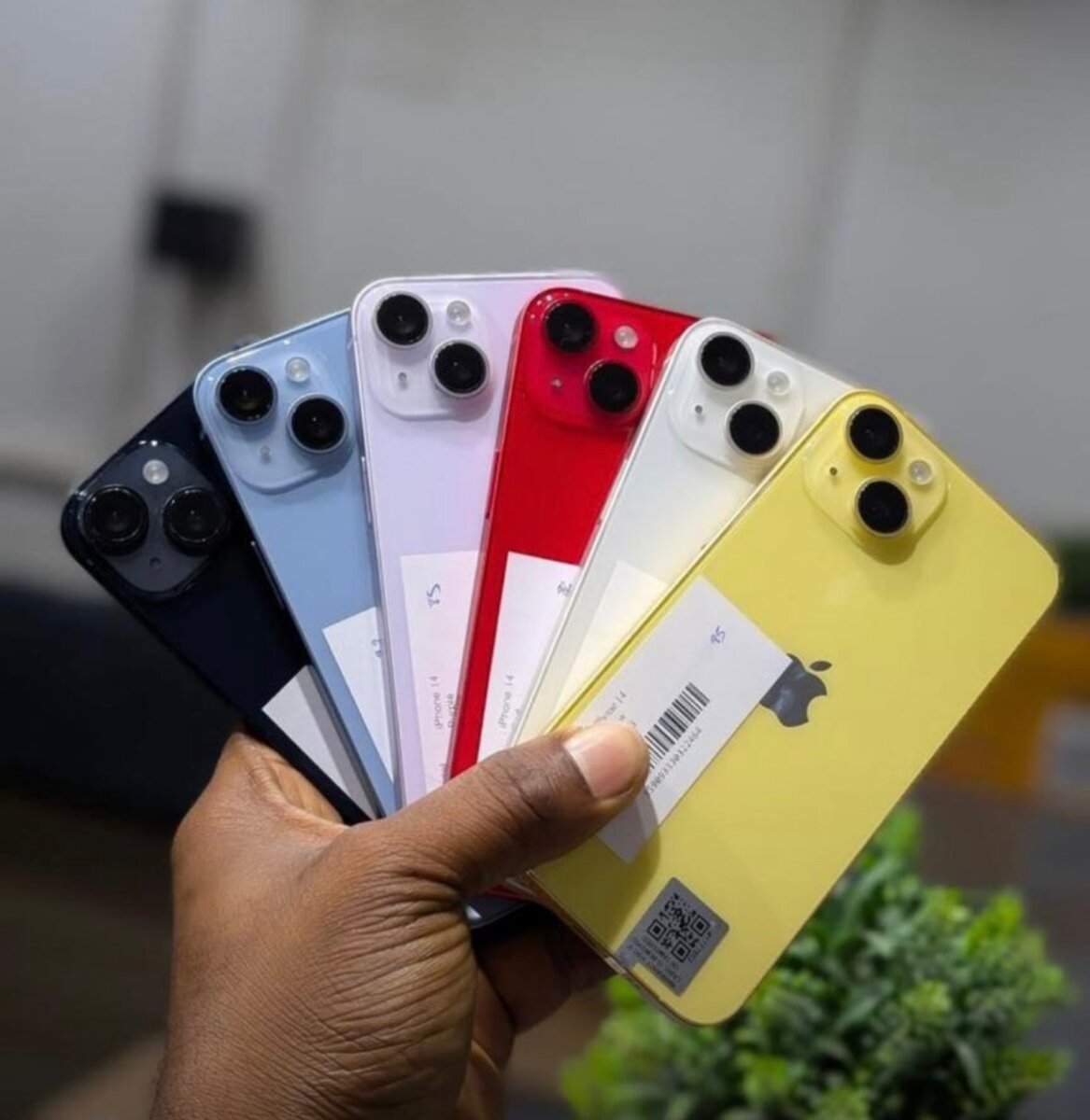 iPhone 13
