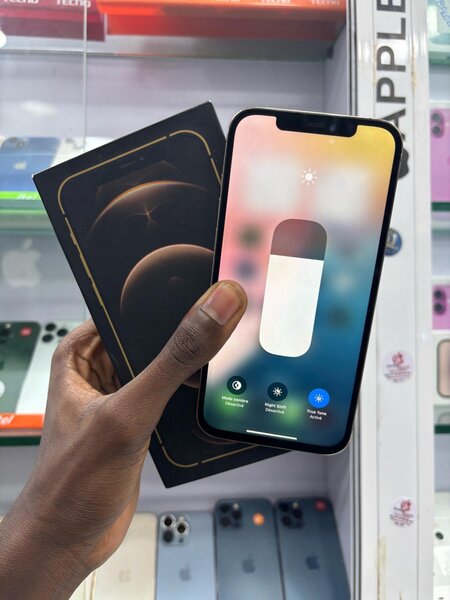 iPhone 12 Pro Max