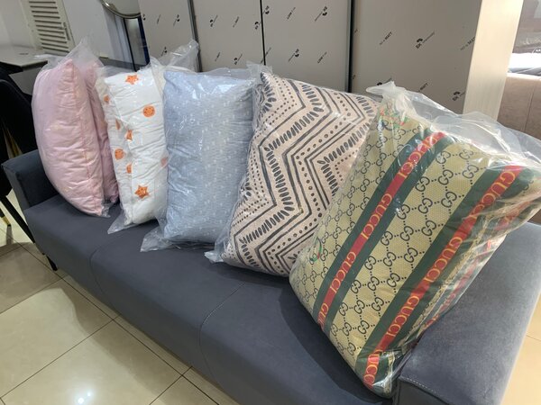 2 in 1 pillow