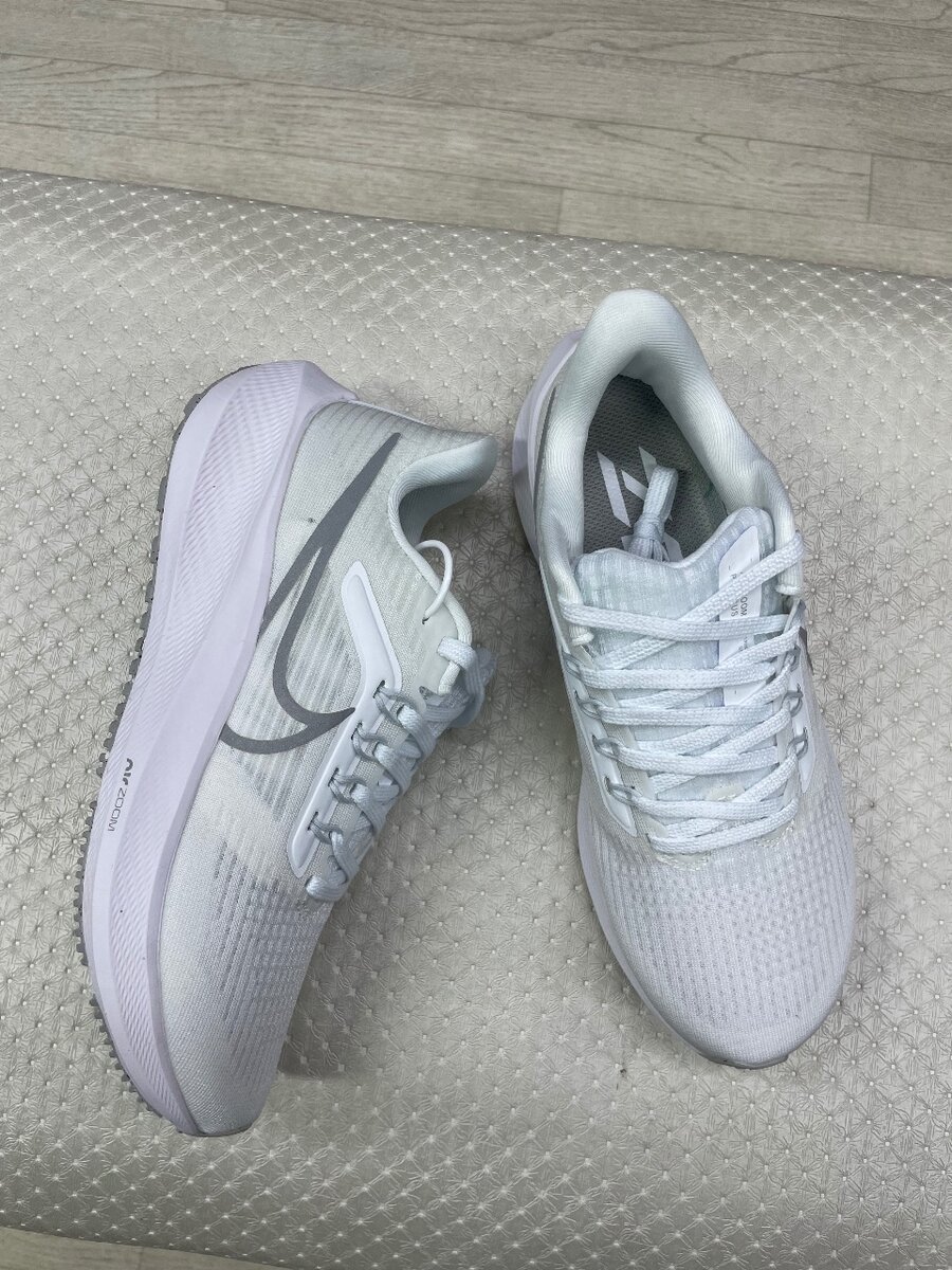 Nike pegasus39