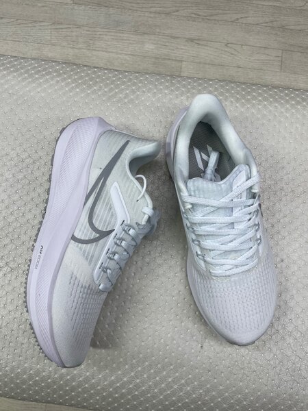 Nike pegasus39