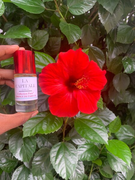Parfum de luxe exclusif