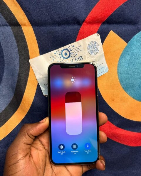 iPhone 12 Pro Max