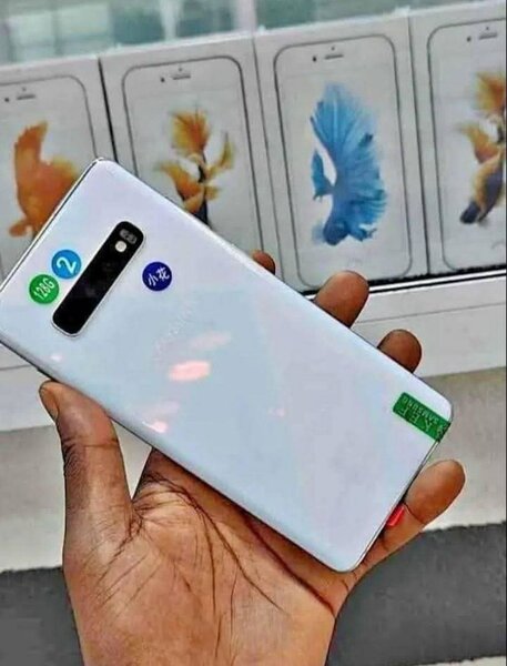 Samsung Galaxy S10+ Blanc