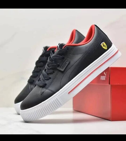 Puma