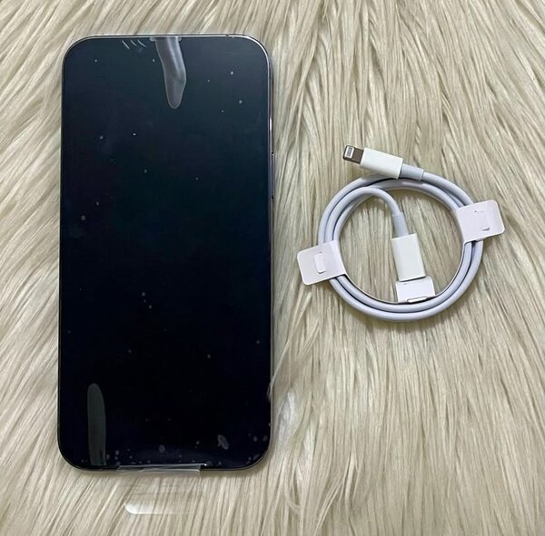 iPhone 13 Pro Max