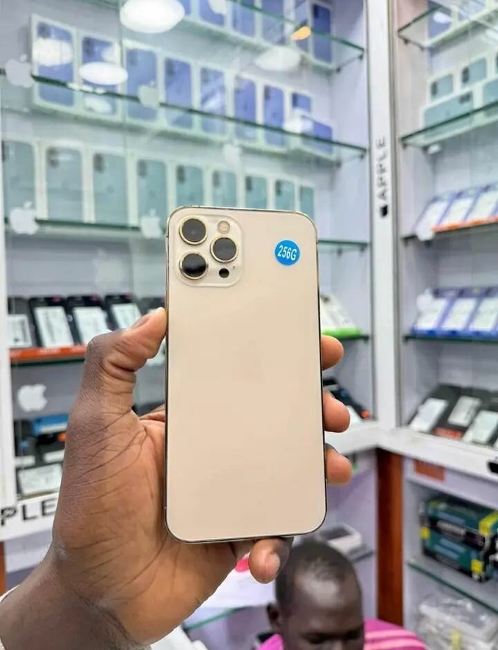iPhone 12pro max