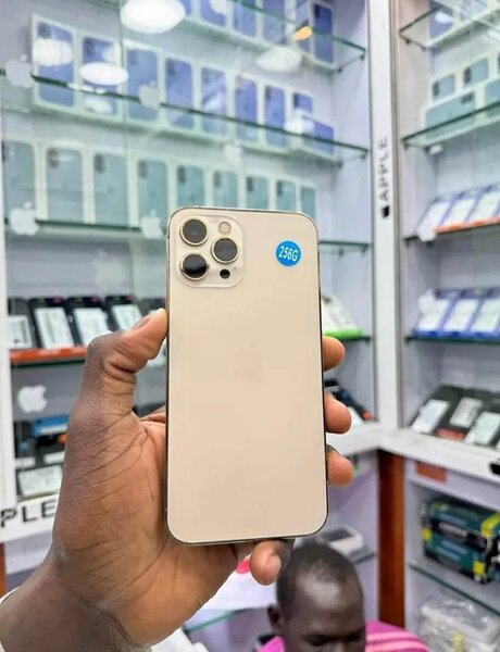 iPhone 12pro max