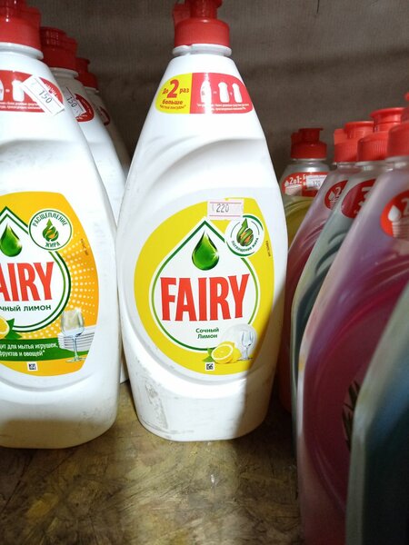 Fairy