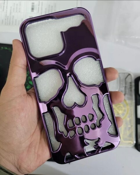Skull Case