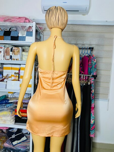 Ladies dress