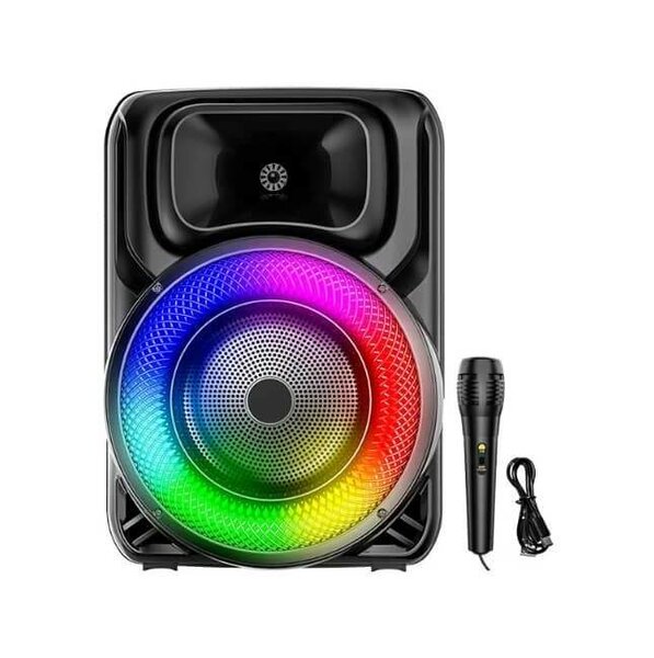 Haut-parleur bluetooth rechargeable avec microphone sans fil