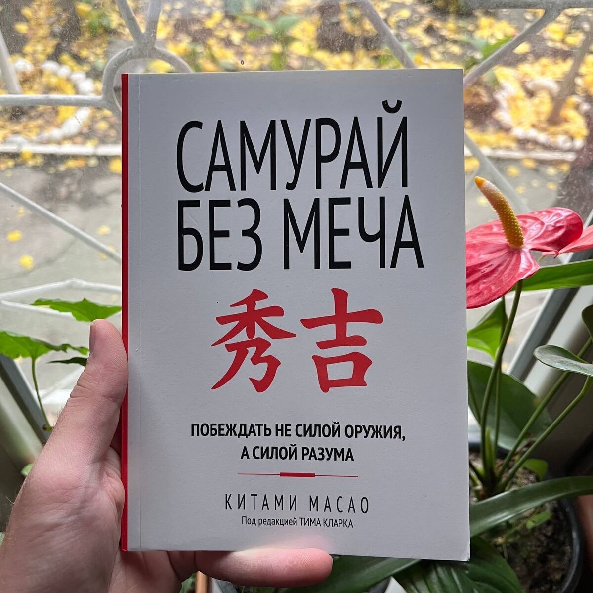 Самурай без меча