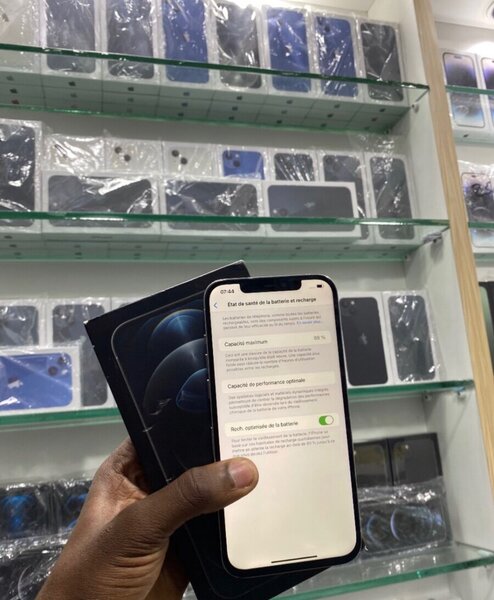 iPhone 12 Pro Max 256 Go